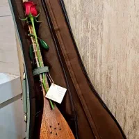 تنبور حرفه ای کاسه یک تکه