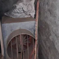 فروش قفسه های قارچ|عمدهفروشی|جرقویه, |دیوار