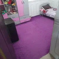 پالازموکت ۹متری خوش رنگ