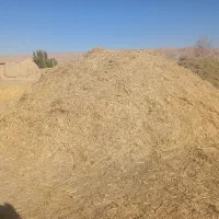 ۹۰۰ کیلو کاه و ۸۰۰ کیلو یونجه فروش فوری|حیوانات مزرعه|افشار, |دیوار