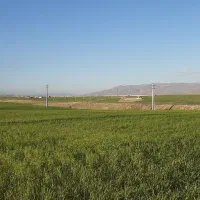 ۲۰۶۰۰متر زمین سردخانه مجوزدار،دارای چاه عمیق|فروش زمین و ملک کلنگی|میانه, |دیوار