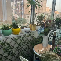 ۸۰ متر ۳ خواب( فول امکانات ۱۲ ساله)چمران فکوری|فروش آپارتمان|تهران, پونک|دیوار