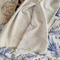 تیشرت تابستانی|لباس|شهریار, اسد‌آباد|دیوار