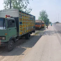 خاور مرغی زیر قیمت