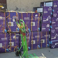 کولر گازی .ایوولی .گری.