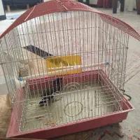 قفس پرنده