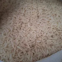 فروش برنج کشت دوم|خوردنی و آشامیدنی|ساری, |دیوار