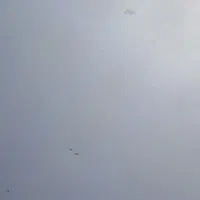 پرایددوگانه کارخانه|خودرو سواری و وانت|بناب, |دیوار