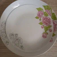 ارکوپال ۱۲ نفره