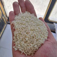 برنج صدری گوهر طارم|خوردنی و آشامیدنی|زنجان, |دیوار