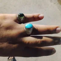 فیروزه نیشابوری