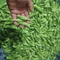 بامیه ریز