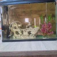 آکواریوم دلسا|ماهی|تهران, شهرک امام خمینی|دیوار