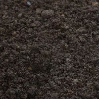 کود گاوی و گوسفندی