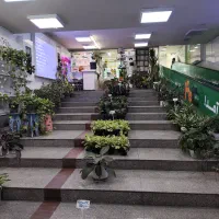 همکاری در غرفه دائمی گل و گیاه