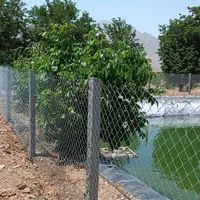 پایه فنس بتنی و داربست انگور