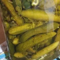 ترشی خانگی|خوردنی و آشامیدنی|اسلامآباد غرب, |دیوار