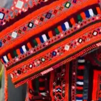 پوروک میذوزم