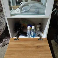 آکواریوم ماهی|ماهی|بوکان, |دیوار