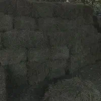 یونجه درجه یک جفتی 1میلیون