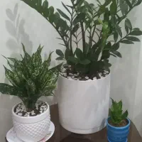 وسایل منزل از کمد تا ظروف چینی