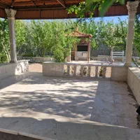 باغ ۱۰ ساله مثمر درشهر زیار ۲۵کیلومتری پل بزرگمهر