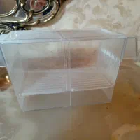 زایشگاه ماهی