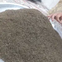 زیره کلات|خوردنی و آشامیدنی|مشهد, شهید احمدی روشن|دیوار