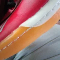 نایک جورایی سالنی وچمن نو|کیف، کفش، کمربند|ساری, |دیوار