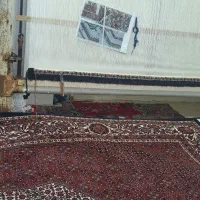 فرش دستبافت ۶متری   نساجی|فرش|طارم, |دیوار