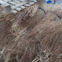 فروش گسکی شاری|لوازم نظافت|سقز, |دیوار