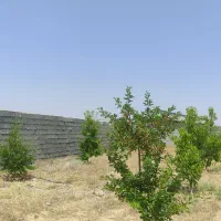 فروش خانه ویلایی ۹۰ متری ۱ خوابه در خان زنیان|فروش خانه و ویلا|شیراز, احمدآباد|دیوار