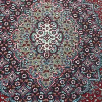 فرش ۹متری دوعددیک رنگ،با کابینت|فرش|سریش آباد, |دیوار