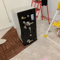 گاو صندوق بزرگ نو