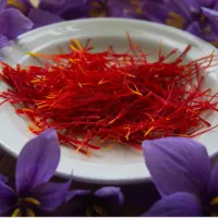 زعفران کاملا خالص و اورگانیک