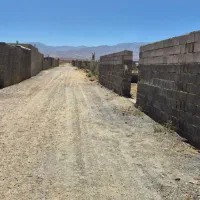 زمین باغی