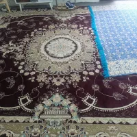 درحد نو|فرش|مشهد, بهمن|دیوار