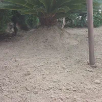 مجموعه خدماتی فضای سبز سبز آوران ارغوان|خدمات باغبانی و درختکاری|بابلسر, |دیوار