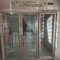 یخچال ایستاده