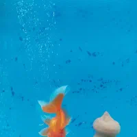 ماهی|ماهی|مرند, |دیوار