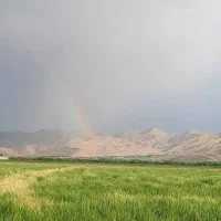 ملوسجان-بیضا