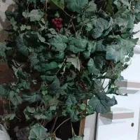 درختچه مصنوعی