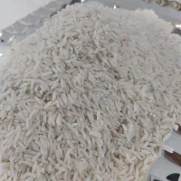 برنج طارم هاشمی (درجه یک گیلان)|خوردنی و آشامیدنی|ساری, |دیوار