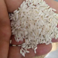 برنج عنبر بو خوزستان معطر|خوردنی و آشامیدنی|ری, شهید بهشتی|دیوار