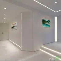 گچکاری ولکه کاری|خدمات پیشه و مهارت|بیرجند, |دیوار