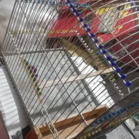 سلام|لوازم جانبی حیوانات|سنندج, |دیوار