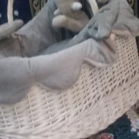 سبد نوزاد
