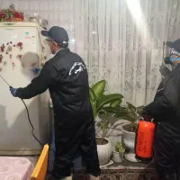 سمپاشی و کنترل افات بهداشتی ( سوسک ساس ...|خدمات نظافت|فاضل آباد, |دیوار