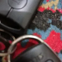 ریموت وکلید پیداشده