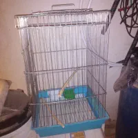 قفس|لوازم جانبی حیوانات|اصفهان, شهرک میلاد|دیوار